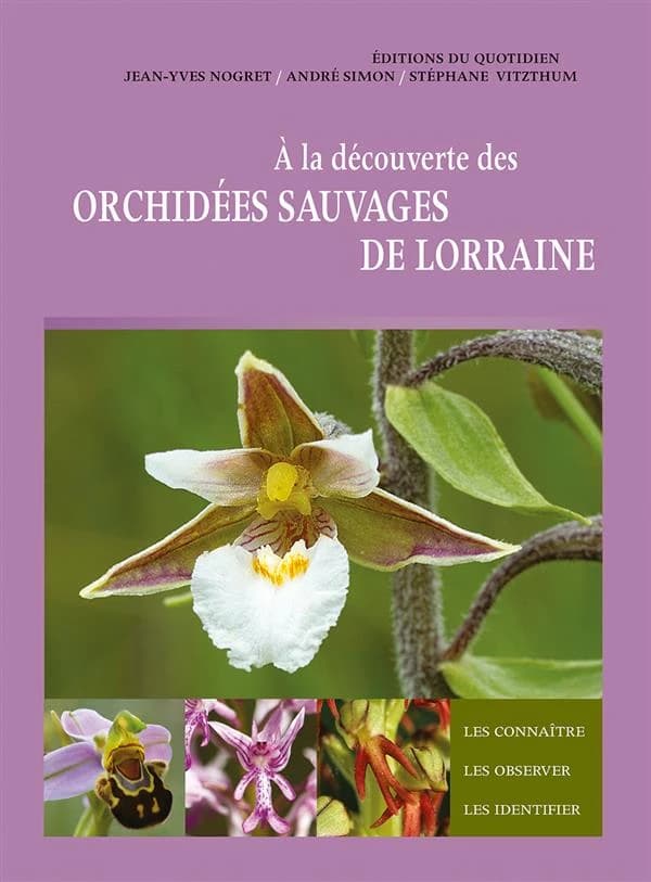 À la découverte des orchidées sauvages de Lorraine