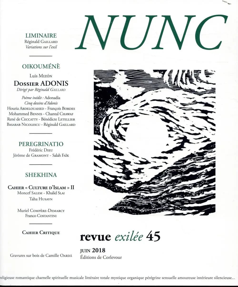 Revue nunc n.45