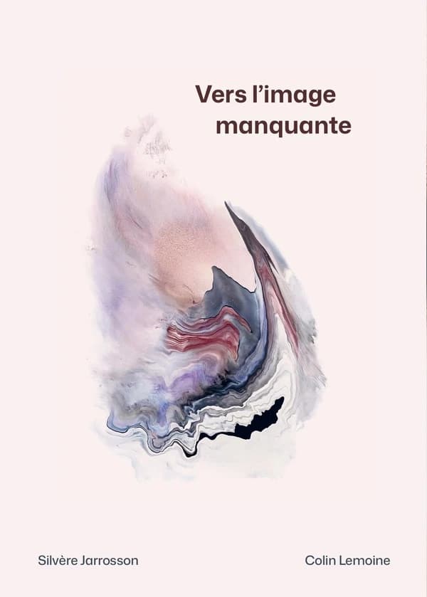 Vers l'image manquante : [oeuvres de] Silvère Jarrosson