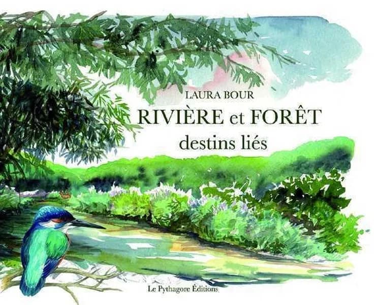 Rivière et forêt : destins liés