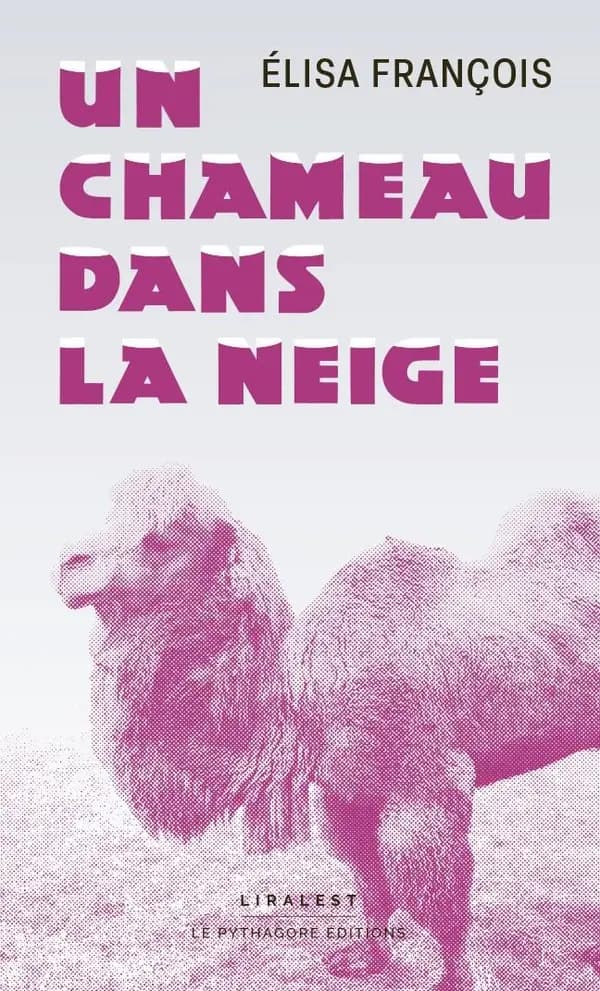 Un chameau dans la neige : roman