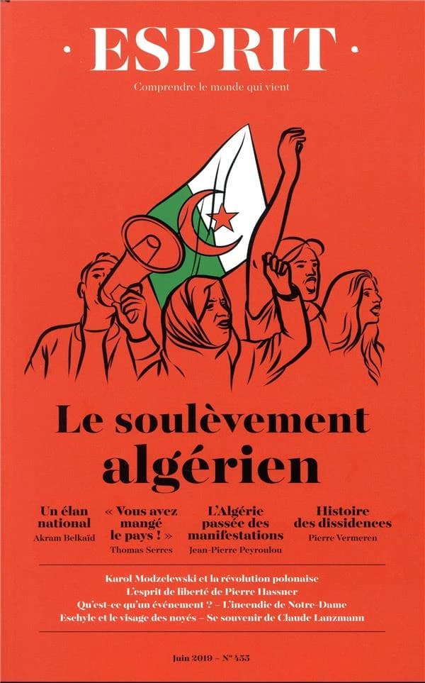 Esprit n.455 : nos institutions politiques