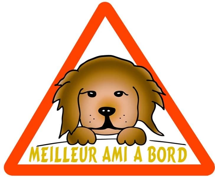 Meilleur ami à bord : Autocollant pour voitures