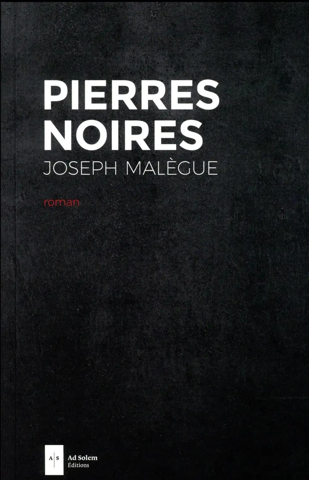 Pierres noires : les classes moyennes du salut : roman