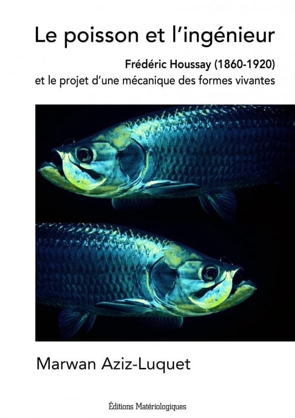 Le poisson et l'ingénieur : Frédéric Houssay, 1860-1920, et le projet d'une mécanique des formes vivantes