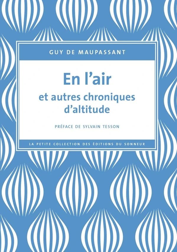 En l'air : et autres chroniques d'altitude