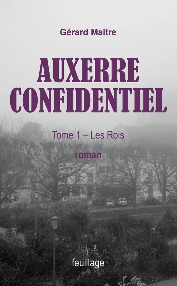 Les rois : roman