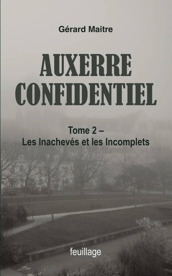 Les inachevés & les incomplets : roman