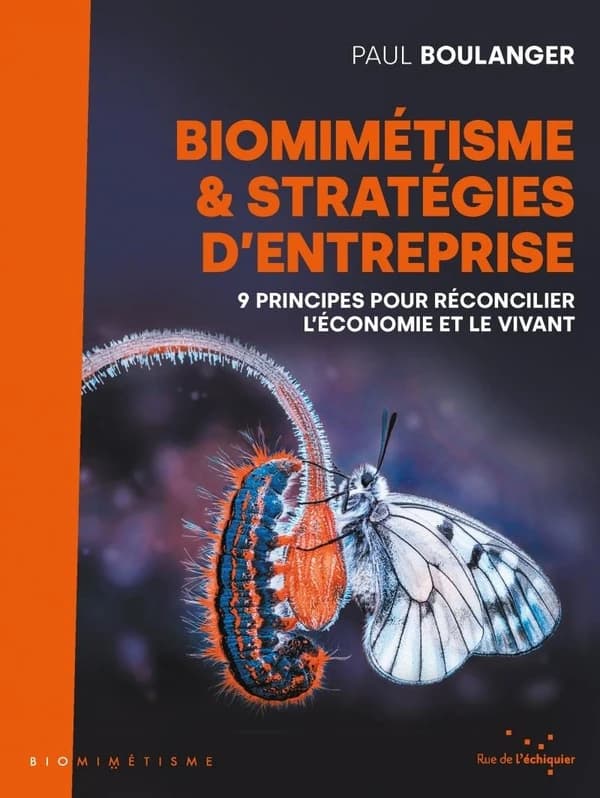 Biomimétisme & stratégies d'entreprises : 9 principes pour réconcilier l'entreprise et le vivant