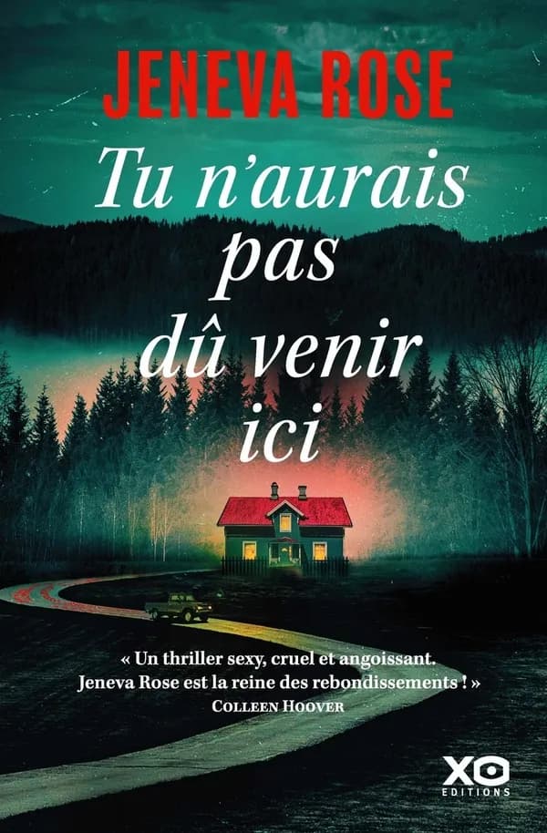 Tu n'aurais pas dû venir ici : roman