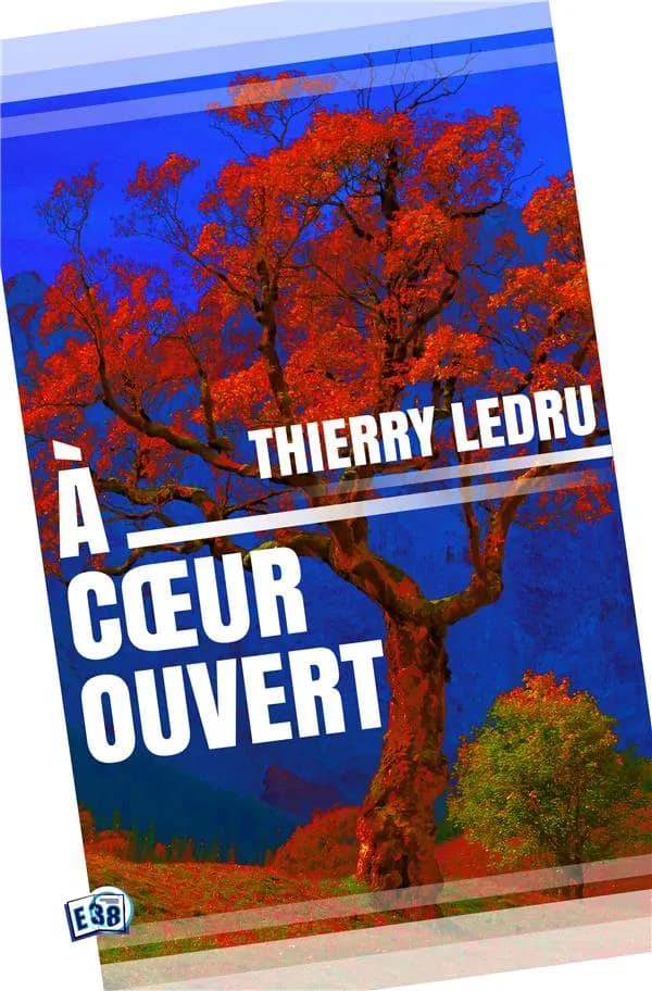 À coeur ouvert : roman