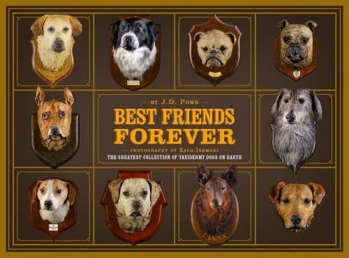 Best friends forever
