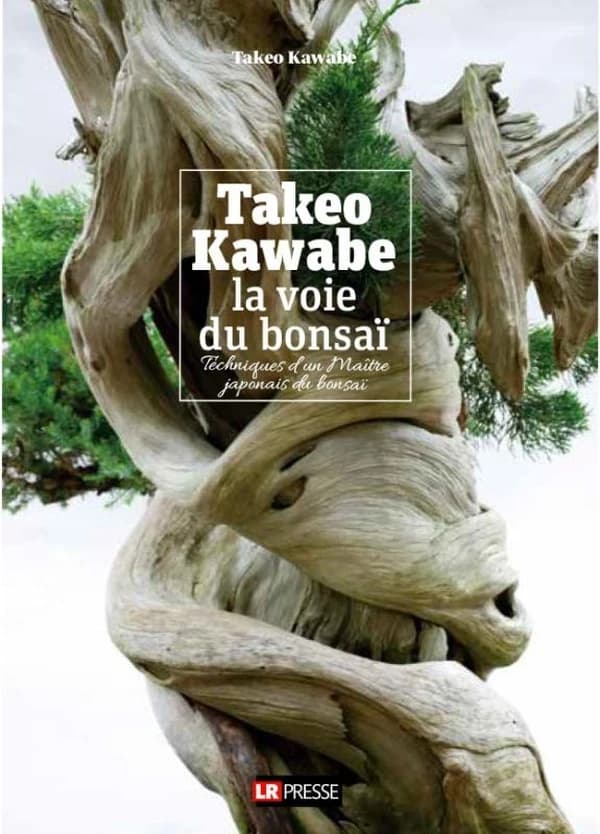 La voie du bonsaï : techniques d'un maître japonais du bonsaï