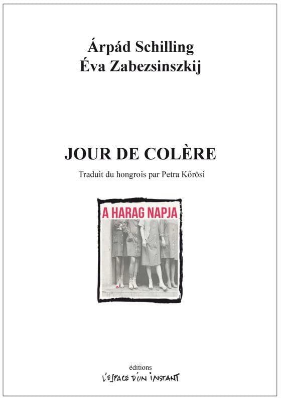 Jour de colère : ou le chant d'un coeur stupide