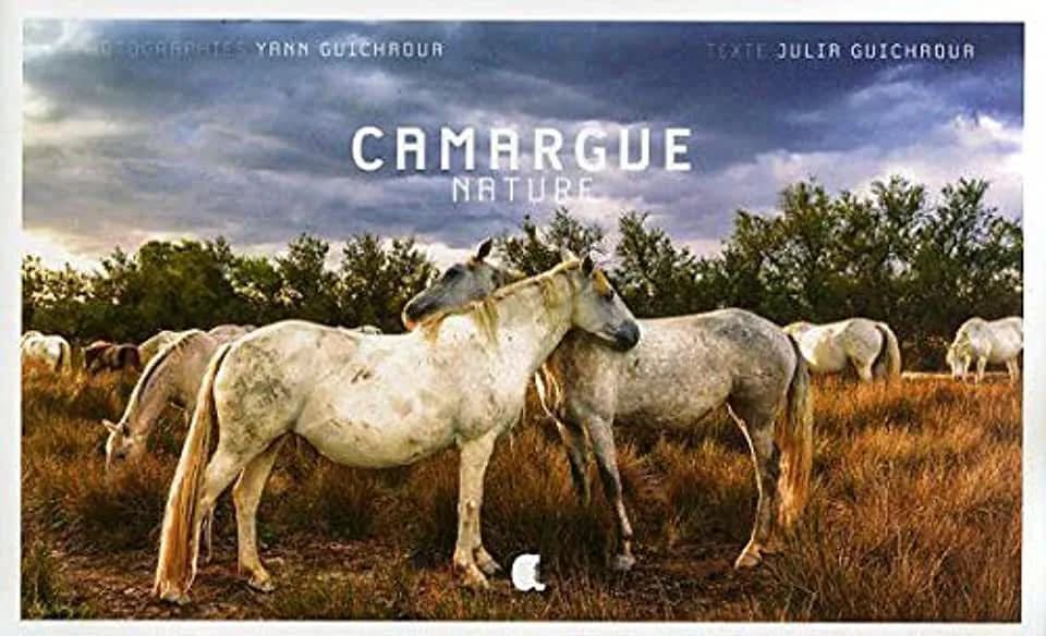 Camargue nature