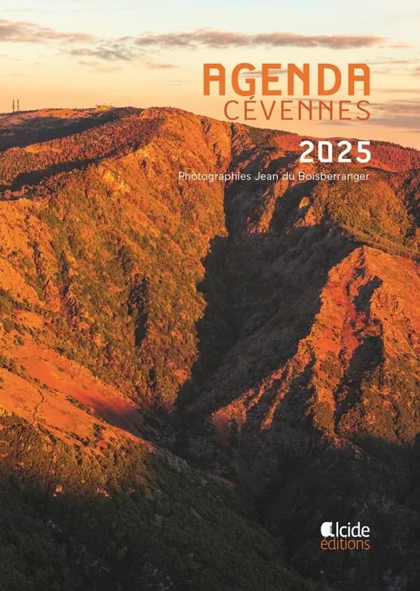 Agenda 2025