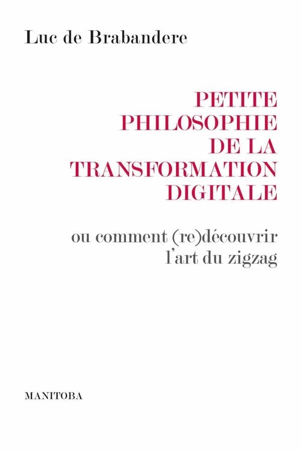 Petite philosophie de la transformation digitale : ou comment (re)découvrir l'art du zigzag