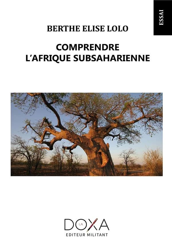 Comprendre l'Afrique subsaharienne : essai