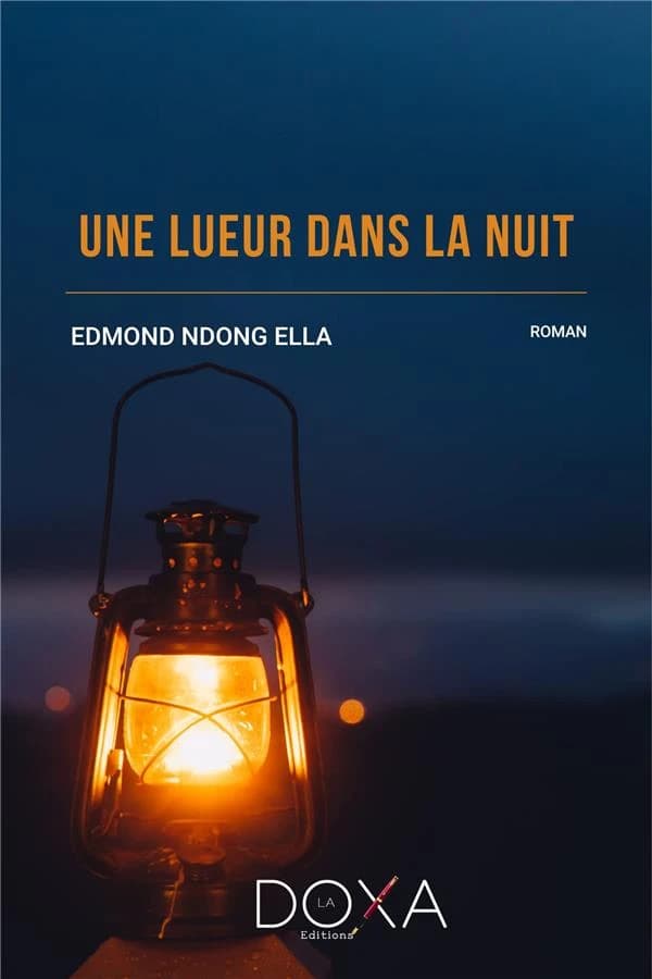 Une lueur dans la nuit : roman