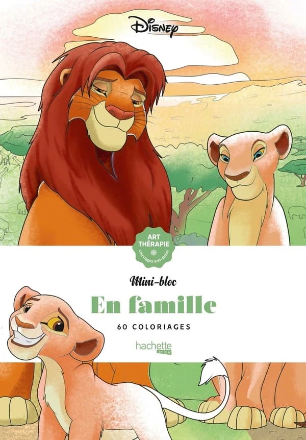 En famille : mini-bloc Art Thérapie : [Album à colorier]