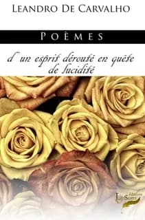 Poèmes : d'un esprit dérouté en quête de lucidité