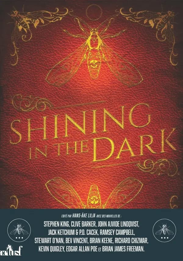 Shining in the dark