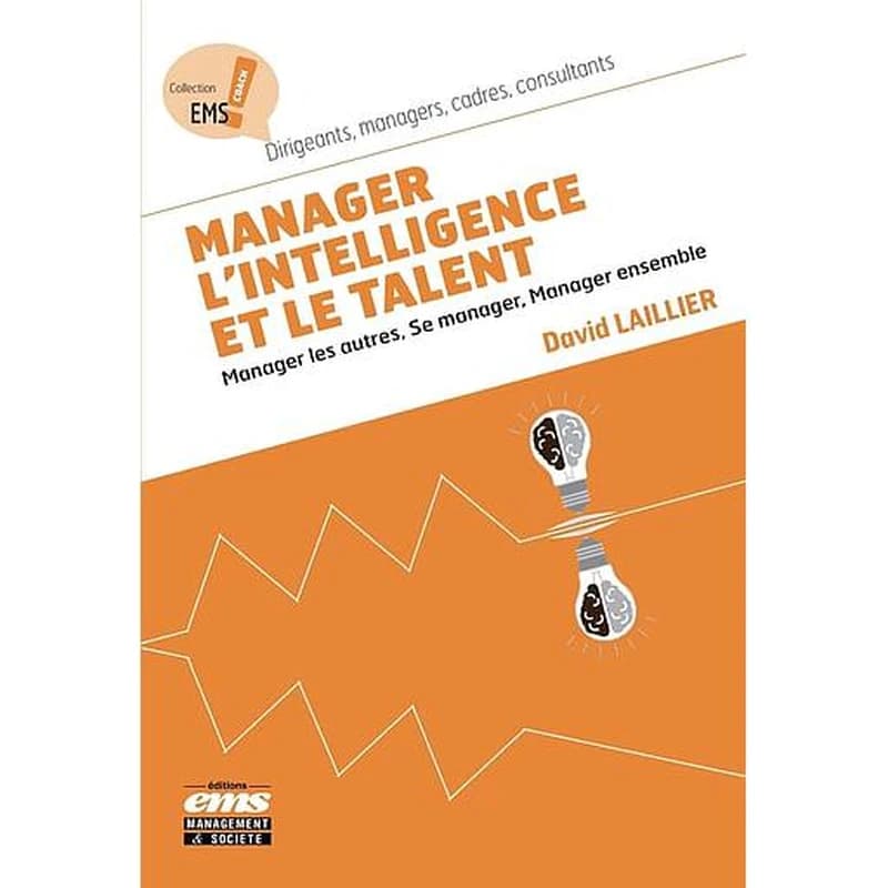 Manager l'intelligence et le talent : manager les autres, se manager, manager ensemble
