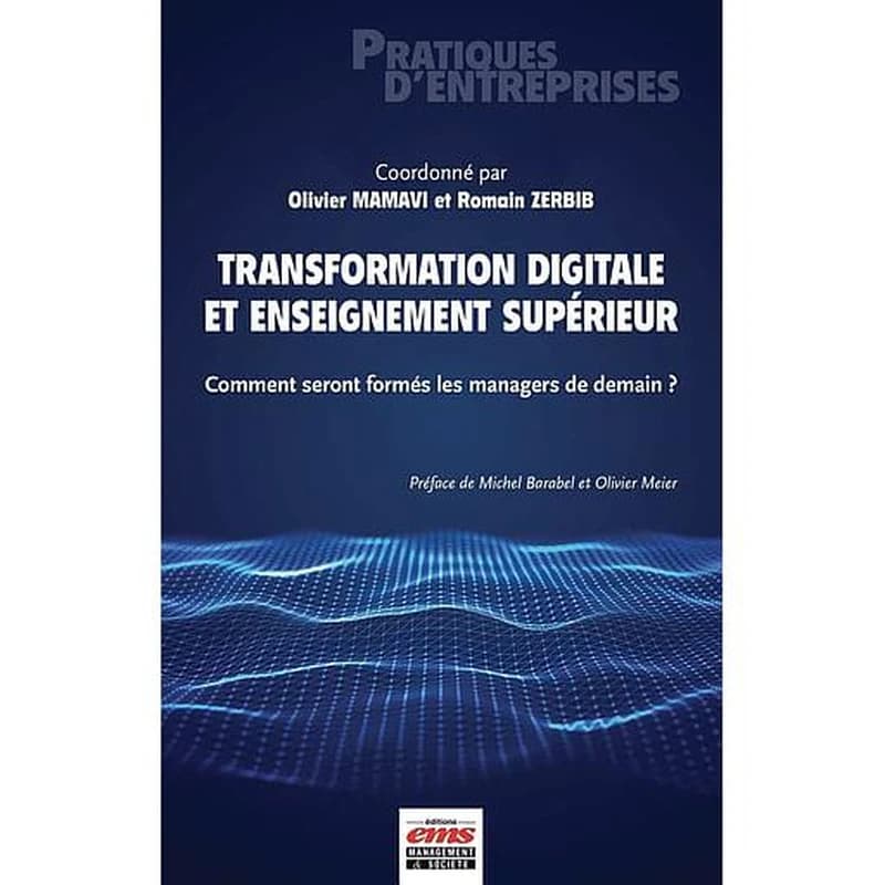 Transformation digitale et enseignement supérieur : comment seront formés les managers de demain ?