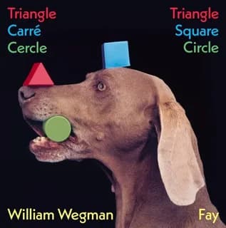 Triangle, carré, cercle