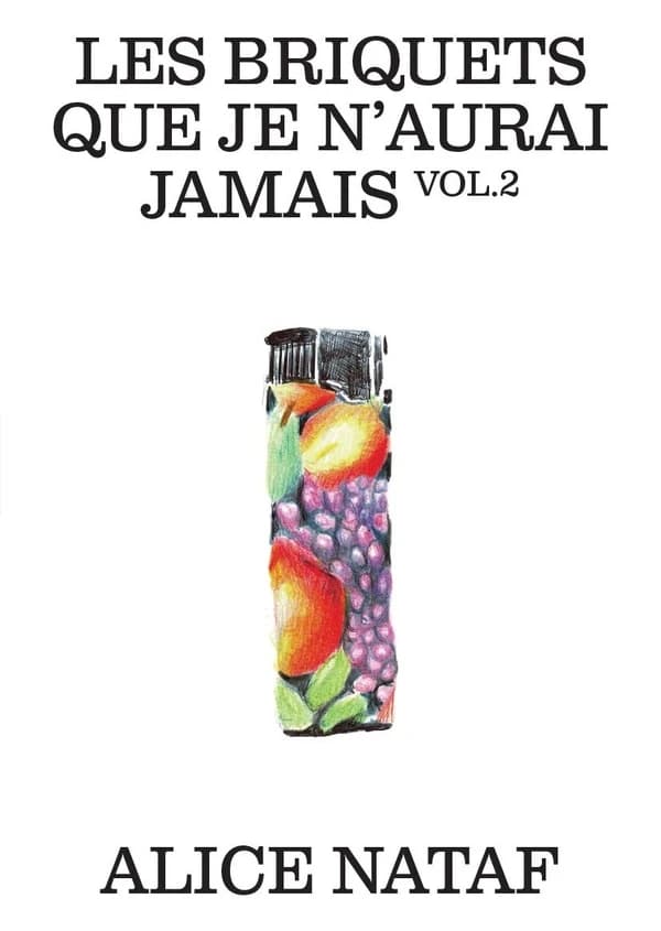 Serial Pictures 4 : Les briquets que je n'aurai jamais Vol.2 : [livre d'artiste] : [Livre d'artiste]
