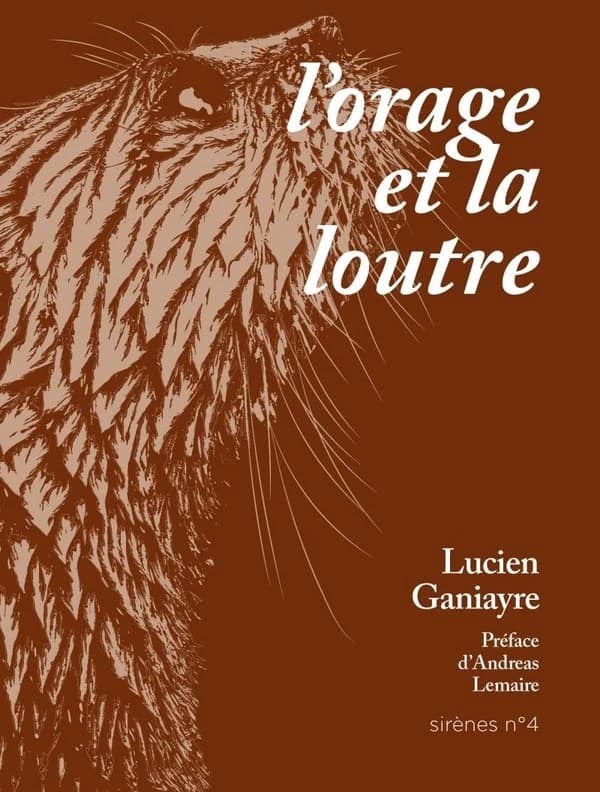L'orage et la loutre