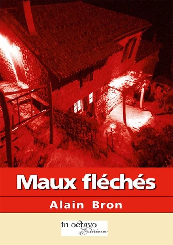 Maux fléchés : roman