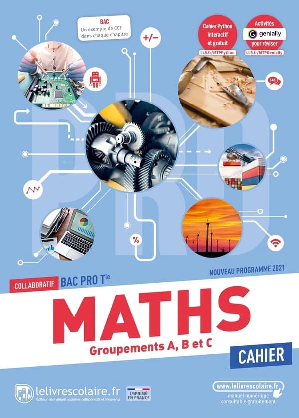 Mathématiques ; terminale Bac Pro ; cahier d'activités