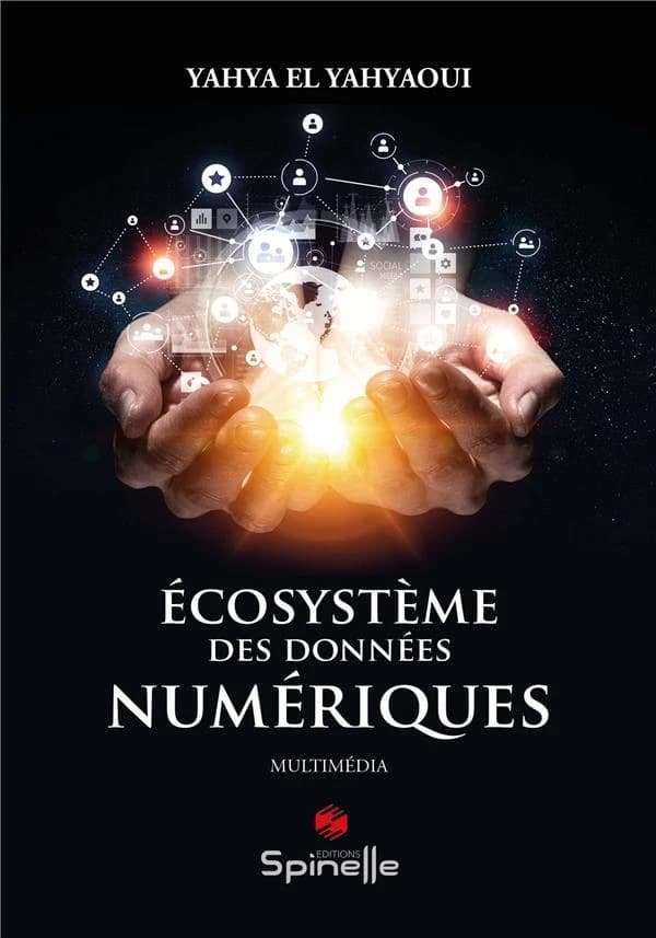 Écosystème des données numériques : internet des objets, big data et intelligence artificielle, multimédia