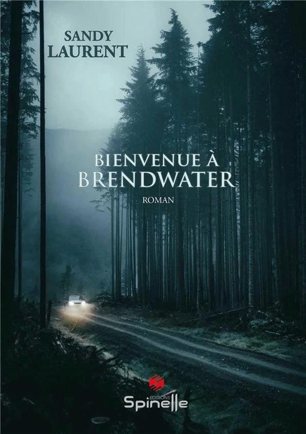 Bienvenue à Brendwater : roman