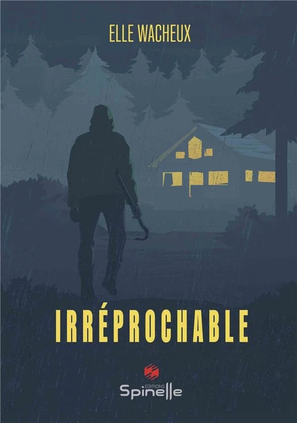 Irréprochable : roman