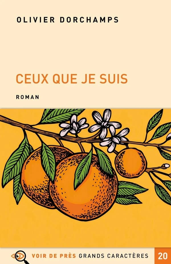 Ceux que je suis : roman ([Éd. en] grands caractères) Olivier Dorchamps