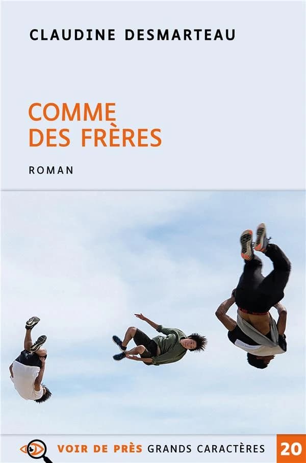 Comme des frères : roman ([Éd. en] grands caractères) Claudine Desmarteau