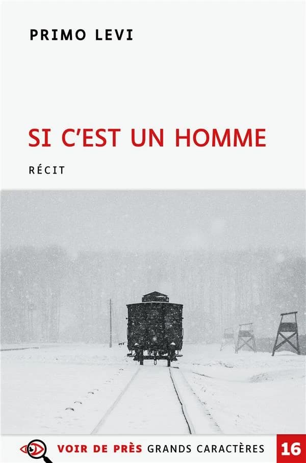Si c'est un homme : roman ([Éd. en] gros caractères) Primo Levi ; traduit de l'italien par Martine Schruoffeneger ; préface de Philippe Claudel