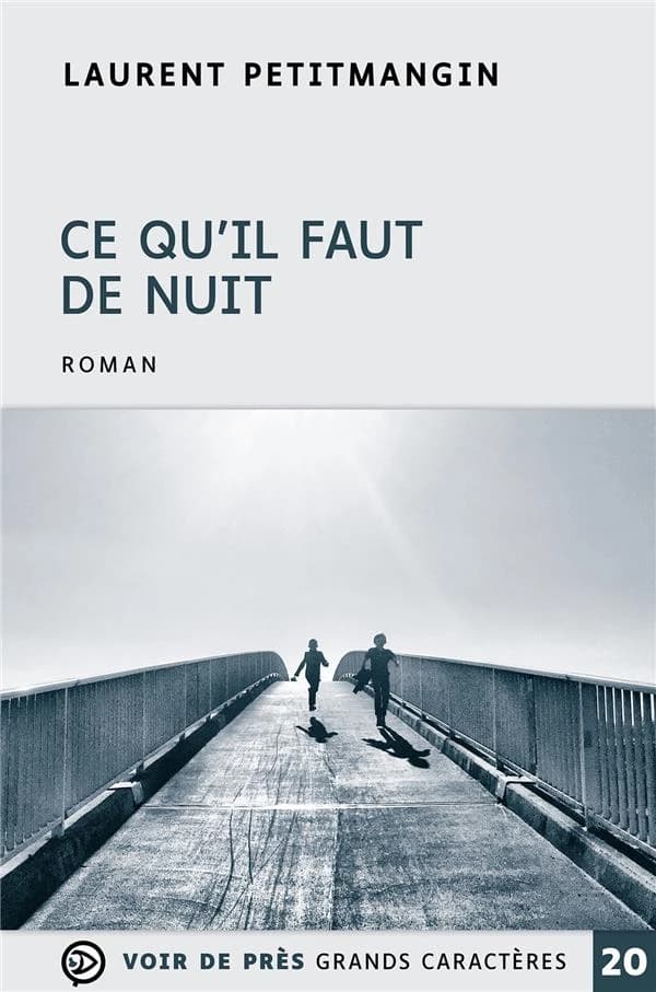 Ce qu'il faut de nuit : roman ([Éd. en] grands caractères) Laurent Petitmangin