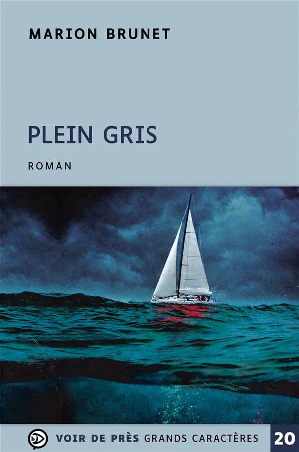 Plein gris : roman ([Éd. en] gros caractères) Marion Brunet
