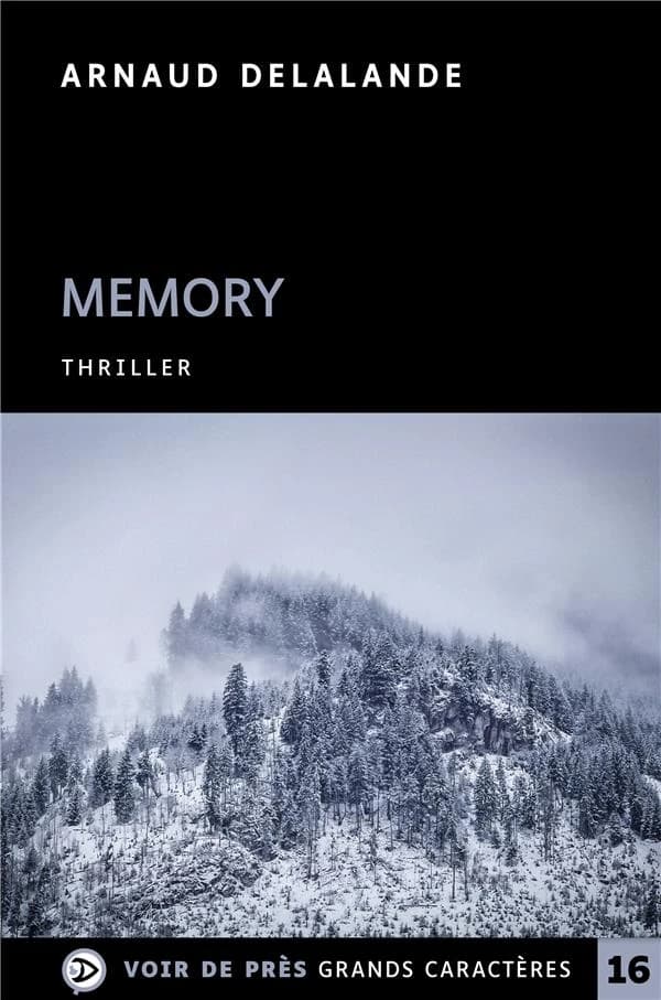 Memory ([Éd. en] gros caractères) Arnaud Delalande
