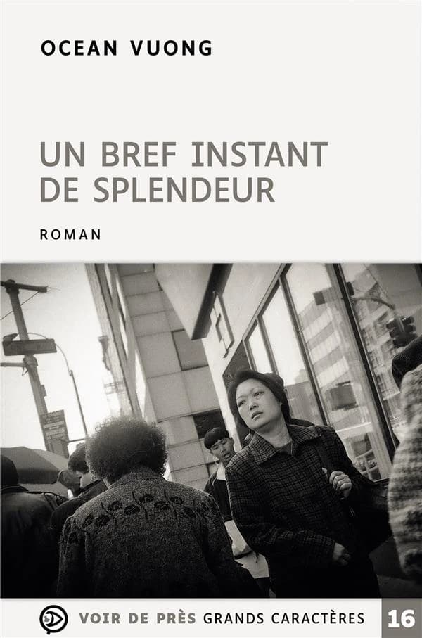 Un bref instant de splendeur : roman ([Éd. en] gros caractères) Ocean Vuong ; traduit de l'anglais (États-Unis) par Marguerite Capelle
