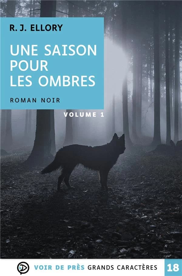 Une saison pour les ombres ([Éd. en] grands caractères) R. J. Ellory ; traduit de l'anglais par Étienne Gomez