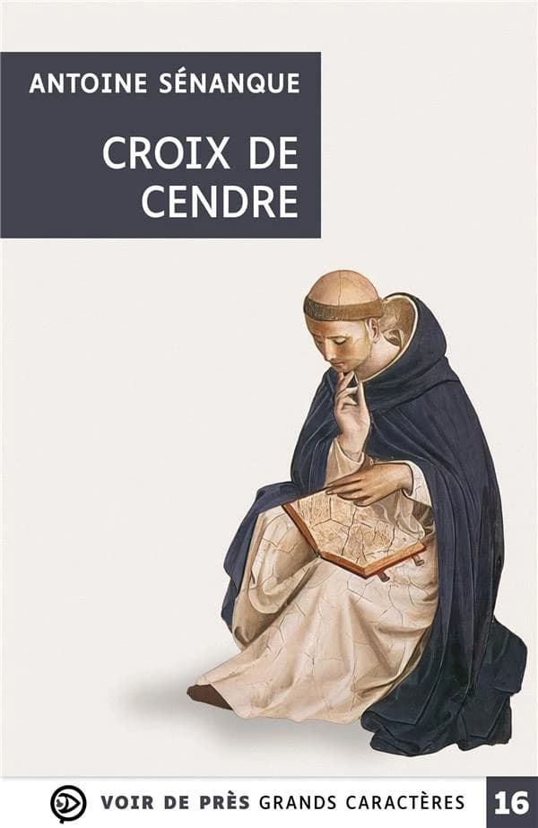 Croix de cendre : roman