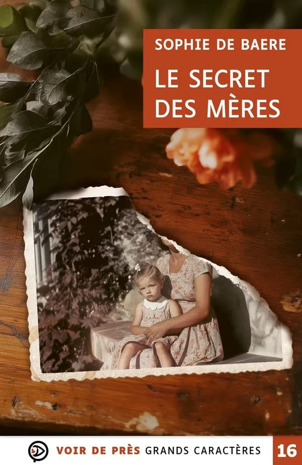 Le secret des mères : roman ([Éd. en] grands caractères) Sophie de Baere