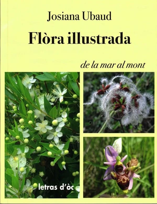 Flòra illustrada : de la mar al mont