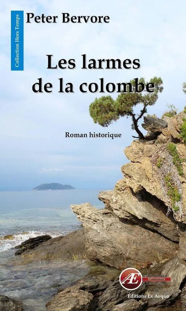 Les larmes de la colombe : roman historique