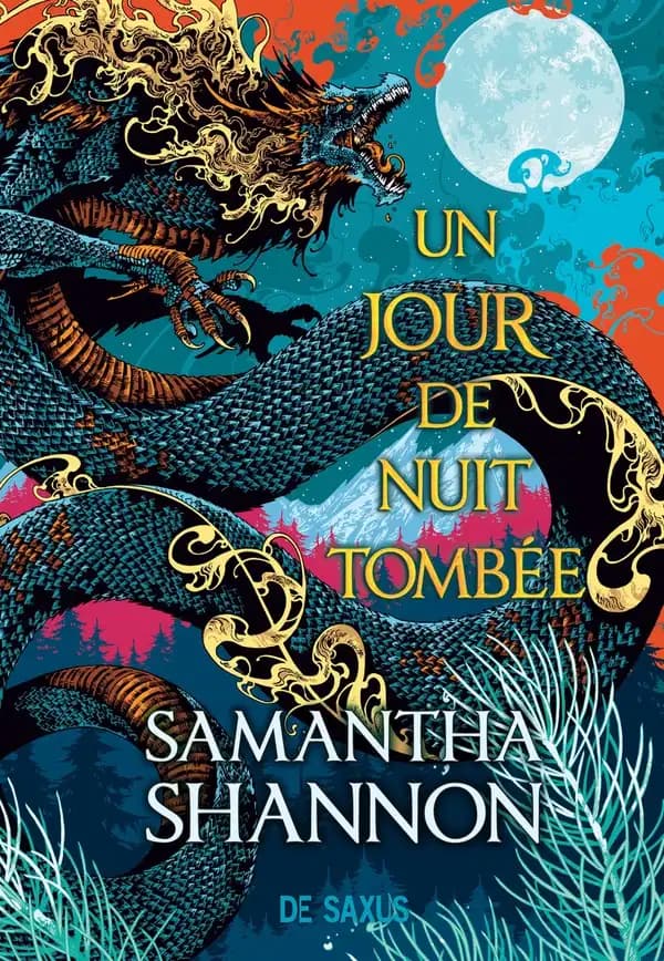 Un jour de nuit tombée