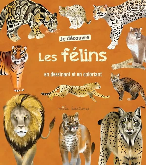 Je découvre les félins : en dessinant et en coloriant